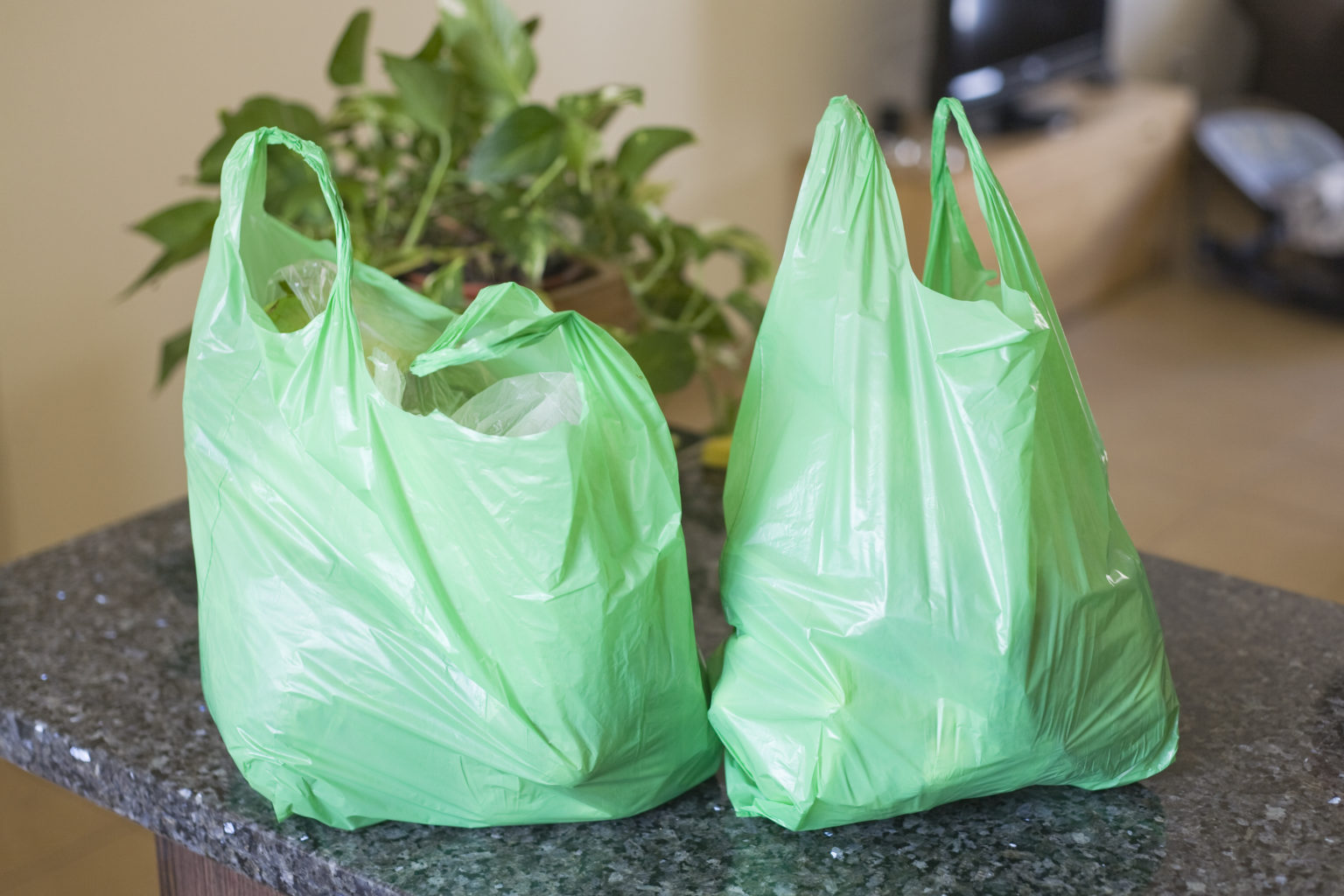 sharjah-to-ban-plastic-bags-introduce-25fils-per-bag-from-october-1