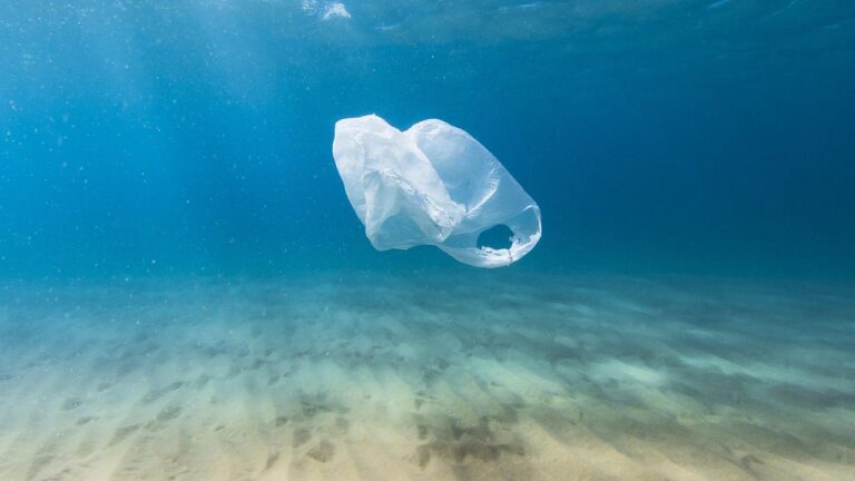 UAE To Ban Single Use Plastic Bags From 2024 My Love UAE   Uae Single Use Plastic 2024 768x432 