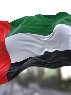 UAE visa Amnesty