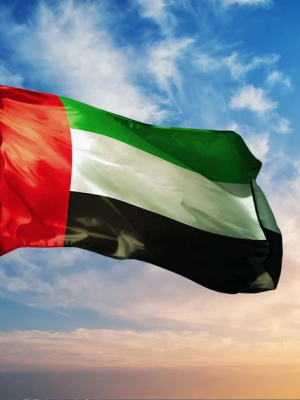 UAE Flag Day: Where to Visit the UAE Flag Garden in Dubai